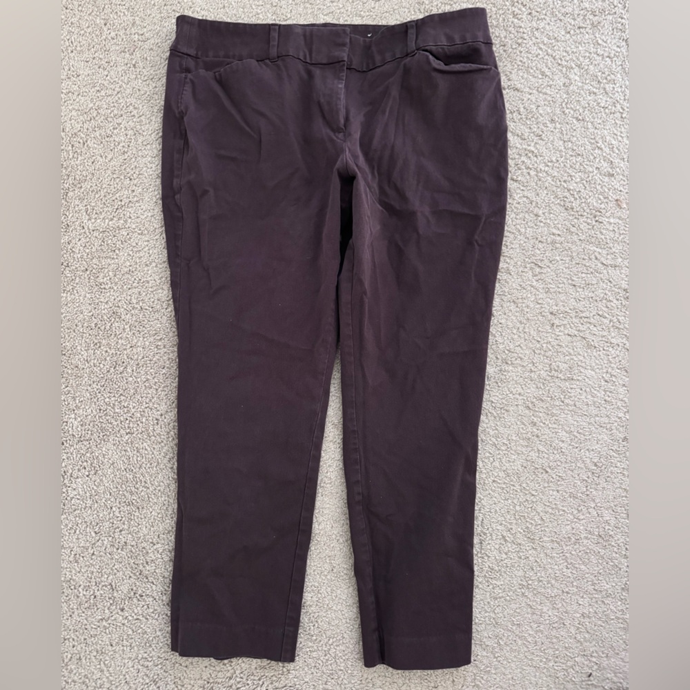 LOFT Chocolate Brown Curvy Skinny Ankle Pants